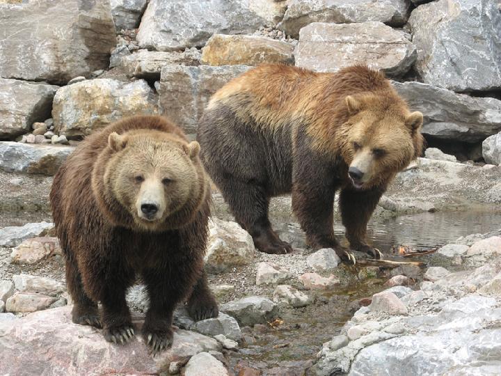 zoo 077.JPG